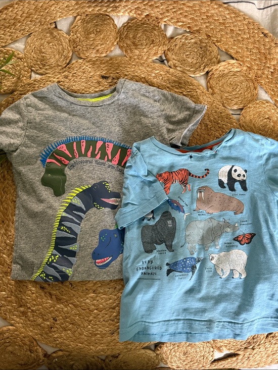 Mini Boden Other - Mini Boden Tee Set Animal Dino Applique Tshirt Set lot. Size 3T-4T  ***read***